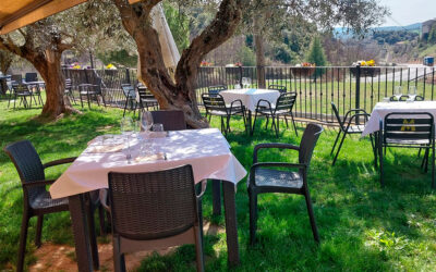 Disfruta de la mejor terraza en plena naturaleza en Restaurante ARP Benabarre